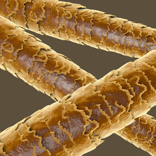 Ingredientul IlSaloneDiMilano Keratin