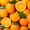IlSaloneDiMilano Ingredient Extract de portocale