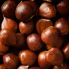 IlSaloneDiMilano Ingredient Extract de castane